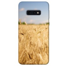 TPU чохол Demsky Поле пшеницы для Samsung Galaxy S10e
