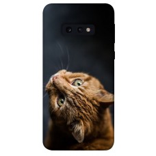 TPU чохол Demsky Рыжий кот для Samsung Galaxy S10e