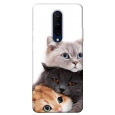 TPU чохол Demsky Три кота для OnePlus 7 Pro