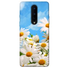 TPU чехол Demsky Ромашковое поле для OnePlus 8