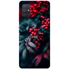 TPU чохол Demsky Red berry для Samsung Galaxy A71