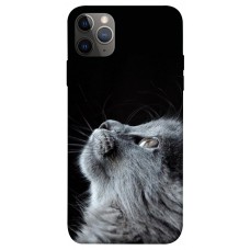 TPU чохол Demsky Cute cat для Apple iPhone 12 Pro Max (6.7")