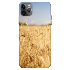 TPU чохол Demsky Поле пшеницы для Apple iPhone 12 Pro (6.1")