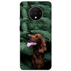 TPU чохол Demsky Собака в зелени для OnePlus 7T