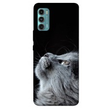 TPU чехол Demsky Cute cat для Motorola Moto G60