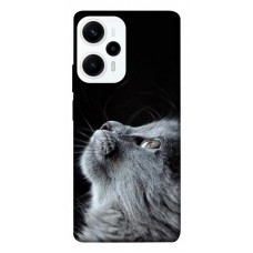 TPU чохол Demsky Cute cat для Xiaomi Poco F5 Pro