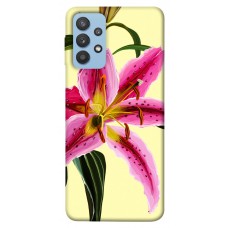 TPU чохол Demsky Lily flower для Samsung Galaxy M32