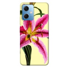 TPU чохол Demsky Lily flower для Xiaomi Poco X5 5G