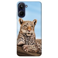 TPU чехол Demsky Proud leopard для Realme 10 4G