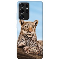 TPU чохол Demsky Proud leopard для Samsung Galaxy S21 Ultra