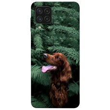 TPU чохол Demsky Собака в зелени для Samsung Galaxy A22 4G