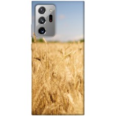 TPU чохол Demsky Поле пшеницы для Samsung Galaxy Note 20 Ultra