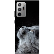 TPU чохол Demsky Cute cat для Samsung Galaxy Note 20 Ultra