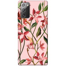 TPU чохол Demsky Floral motifs для Samsung Galaxy Note 20