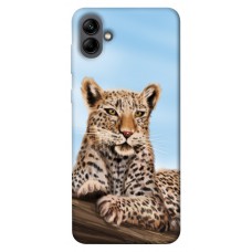 TPU чохол Demsky Proud leopard для Samsung Galaxy A04