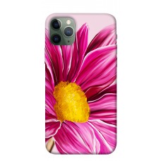 TPU чехол Demsky Яркие лепестки для Apple iPhone 11 Pro (5.8")