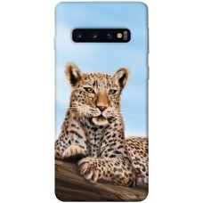 TPU чохол Demsky Proud leopard для Samsung Galaxy S10