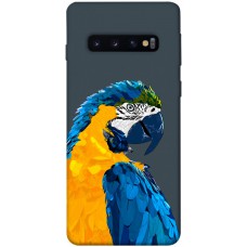TPU чохол Demsky Попугай для Samsung Galaxy S10