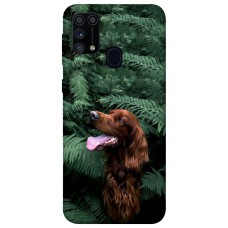 TPU чохол Demsky Собака в зелени для Samsung Galaxy M31