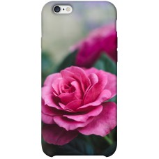 TPU чохол Demsky Роза в саду для Apple iPhone 6/6s plus (5.5")