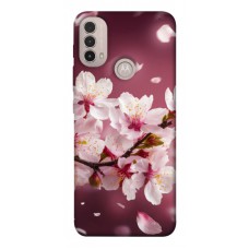 TPU чехол Demsky Sakura для Motorola Moto E40