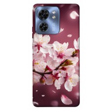 TPU чехол Demsky Sakura для Motorola Edge 40