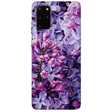 TPU чехол Demsky Violet blossoms для Samsung Galaxy S20+