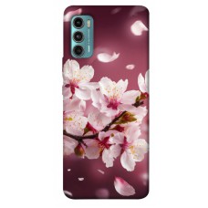 TPU чехол Demsky Sakura для Motorola Moto G60