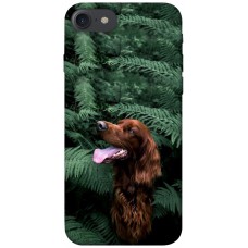 TPU чохол Demsky Собака в зелени для Apple iPhone 7 / 8 (4.7")