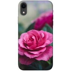 TPU чохол Demsky Роза в саду для Apple iPhone XR (6.1")
