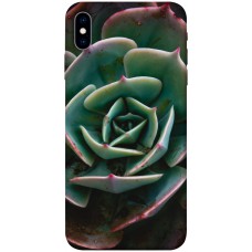 TPU чехол Demsky Эхеверия для Apple iPhone X (5.8")