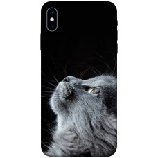 TPU чехол Demsky Cute cat для Apple iPhone X (5.8")