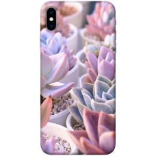 TPU чехол Demsky Эхеверия 2 для Apple iPhone X (5.8")