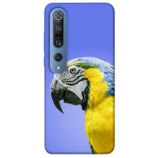 TPU чохол Demsky Попугай ара для Xiaomi Mi 10 / Mi 10 Pro