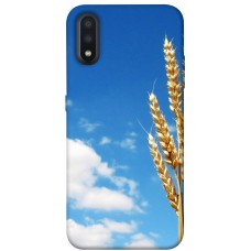 TPU чохол Demsky Пшеница для Samsung Galaxy A01