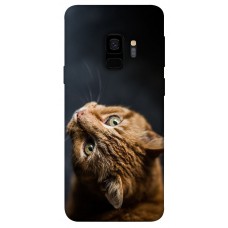 TPU чохол Demsky Рыжий кот для Samsung Galaxy S9
