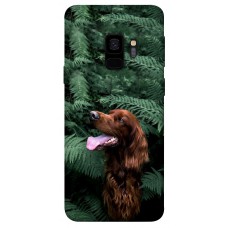 TPU чохол Demsky Собака в зелени для Samsung Galaxy S9