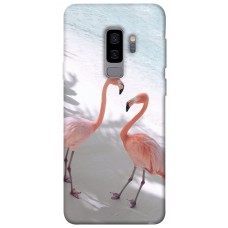 TPU чохол Demsky Flamingos для Samsung Galaxy S9+