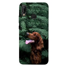 TPU чохол Demsky Собака в зелени для Huawei P20 lite (2019)