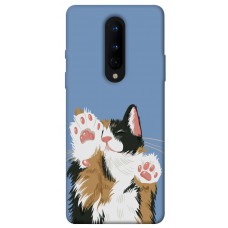 TPU чехол Demsky Funny cat для OnePlus 8