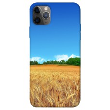 TPU чохол Demsky Пшеничное поле для Apple iPhone 12 Pro Max (6.7")