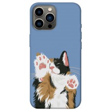 TPU чохол Demsky Funny cat для Apple iPhone 12 Pro Max (6.7")