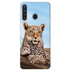 TPU чехол Demsky Proud leopard для Samsung Galaxy A21