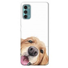 TPU чехол Demsky Funny dog для Motorola Moto G60