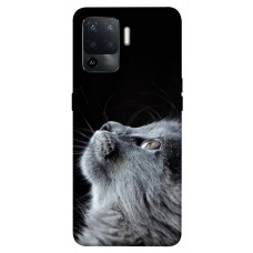 TPU чехол Demsky Cute cat для Oppo Reno 5 Lite