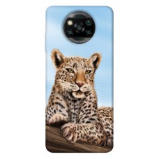 TPU чехол Demsky Proud leopard для Xiaomi Poco X3 NFC / Poco X3 Pro