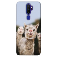 TPU чехол Demsky Funny llamas для Oppo A5 (2020) / Oppo A9 (2020)