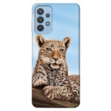 TPU чохол Demsky Proud leopard для Samsung Galaxy M32