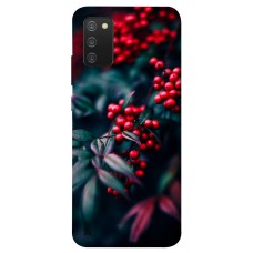 TPU чохол Demsky Red berry для Samsung Galaxy A02s