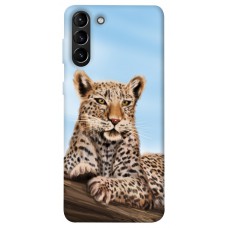 TPU чехол Demsky Proud leopard для Samsung Galaxy S21+